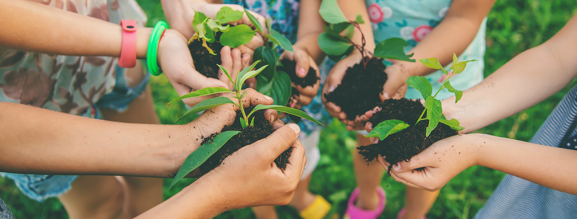Développement durable