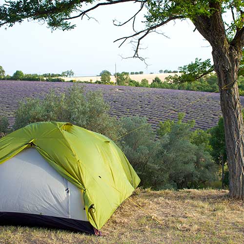 CAMPINGS