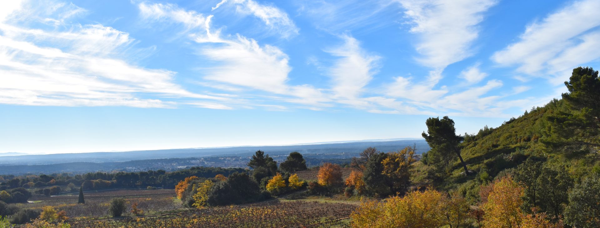Marchons vers le bonheur !