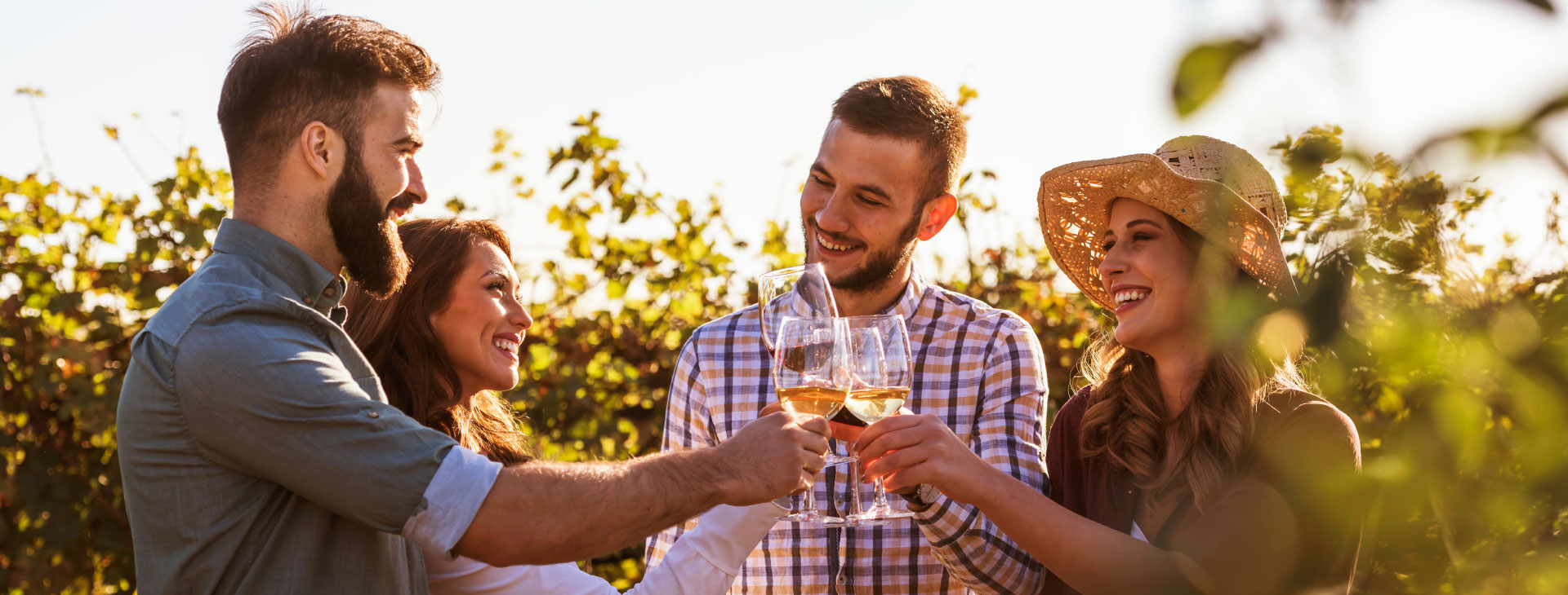 Visibilité et promotion