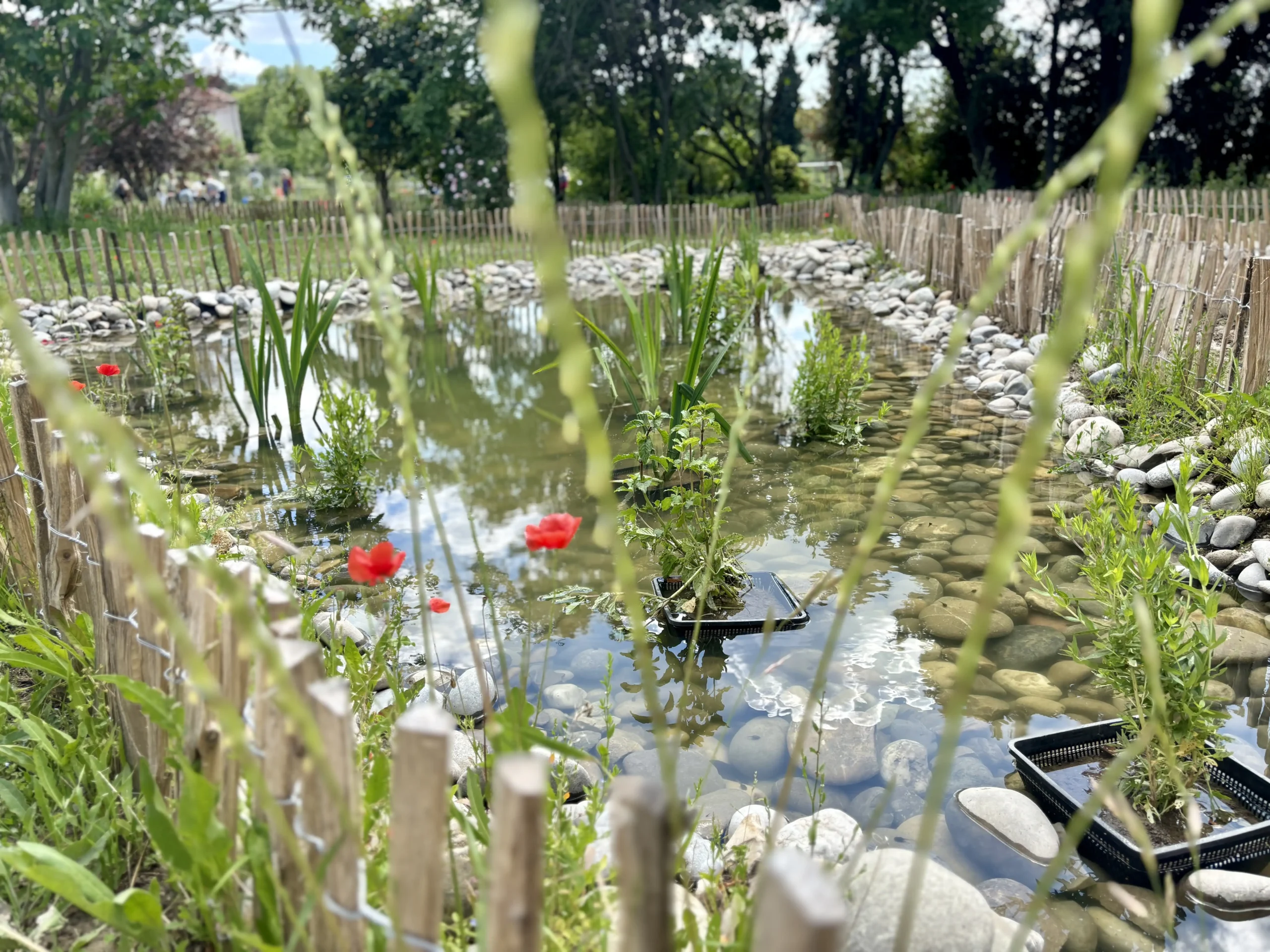 Retour sur… la découverte du Jardin aux papillons