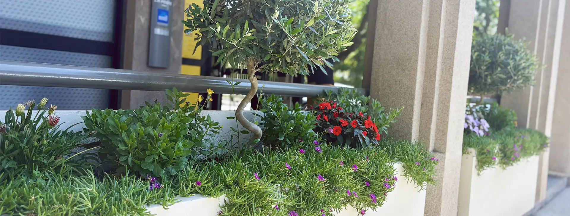 Zoom sur de nouveaux aménagements paysagers