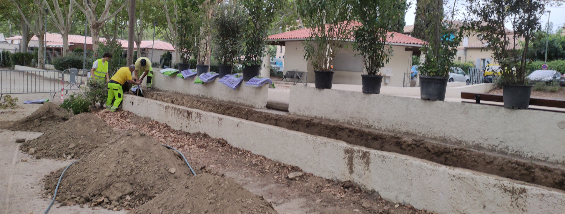 Aménagement vert au Boulodrome : Une haie diversifiée favorisant la biodiversité