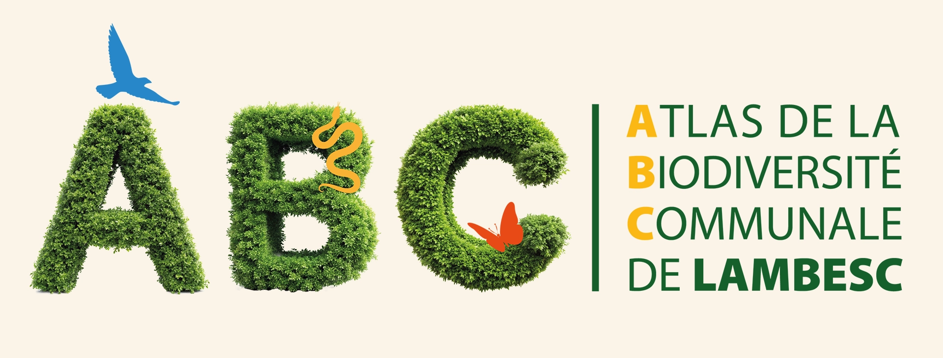 ABC – Enquête citoyenne « Rapaces nocturnes »