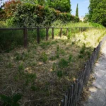 ... plantée par le Conseil Municipal des Enfants en 2024