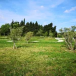 La piste de draisienne