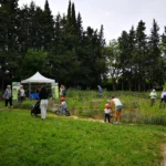 Le Jardin aux Papillons...