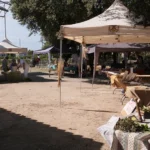 250920_JDP_Moulin (4)