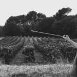 250921_JDP_©Ludivine VIALLARD-Racines