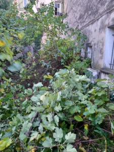 251030_Trinitaires ©Ville de Lambesc