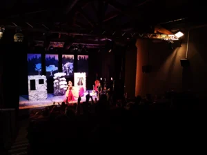 251211_Spectacle de Noël_écoles élémentaires-3