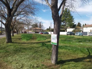 260326_fauchage raisonné_Les fenestrelles