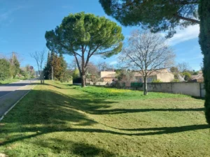 260326_fauchage raisonné_Les tuileries-1