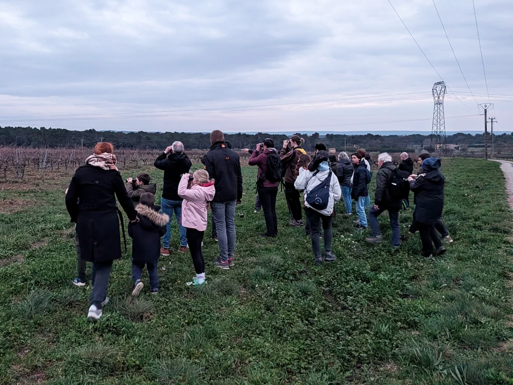 PXL_20260307_174829066