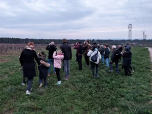 PXL_20260307_174829066