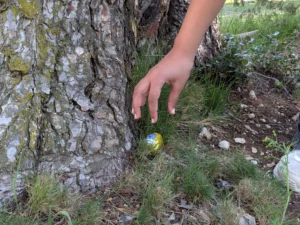 260406_1000 oeufs de Pâques (4)