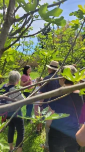260417_Visite Ferme de Cabrières (1)