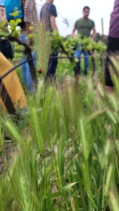 260419_Visite Mas de Croignes (2)