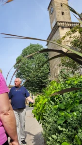 260419_Visite végétaux ornementaux (3)