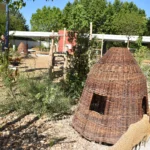 260701_Visite cour résiliente école Prévert (14)