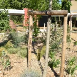 260701_Visite cour résiliente école Prévert (9)