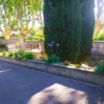 Cimetière_260708 (1)