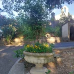 Cimetière_260708 (2)