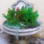 Fontaine demi-lune - Rue Grande_260708