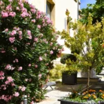 Place du Parage_260610 (2)