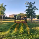 Rd-pt Anciens combattants - rateau faneur_260708