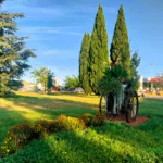 Rd-pt Anciens combattants - semoir_260708