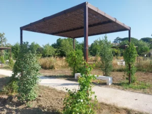 260729_Pergolas parc BR (1)