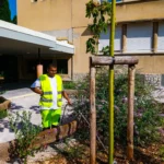 260814_Faress (espaces verts) 2 copie