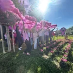 261015_Octobre Rose rond-point des Anciens Combattants (2)