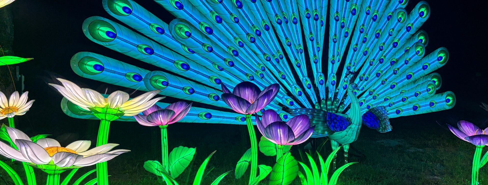 Le Festival des Lumières illumine le Parc Animalier de La Barben !