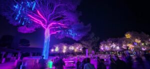 Visite La Barben_Tourisme
